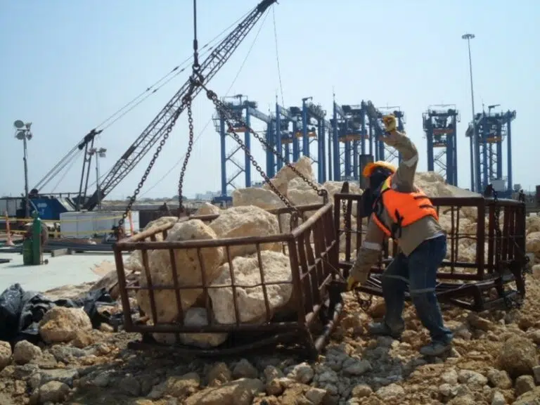 Basket for moving material